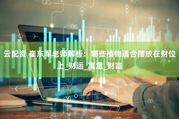 云配资 崔东军老师解析：哪些植物适合摆放在财位上_财运_寓意_财富
