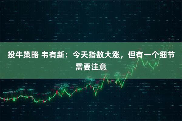 投牛策略 韦有新：今天指数大涨，但有一个细节需要注意