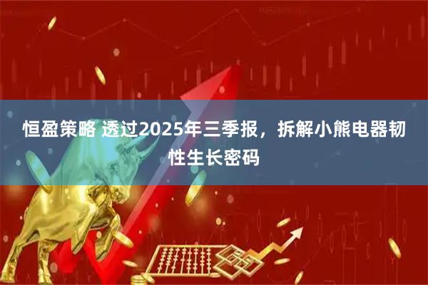 恒盈策略 透过2025年三季报，拆解小熊电器韧性生长密码