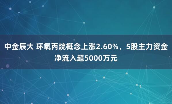 中金辰大 环氧丙烷概念上涨2.60%，5股主力资金净流入超5000万元